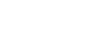ZSFL League Logo